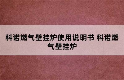 科诺燃气壁挂炉使用说明书 科诺燃气壁挂炉